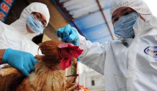 日本研究发现：H7N9病毒或可飞沫传播