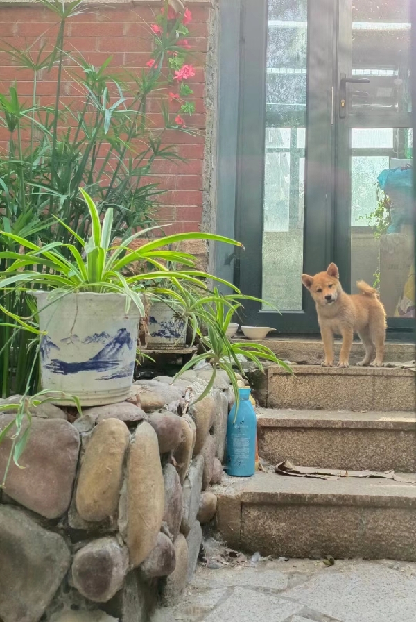 1832716483_副本.jpg