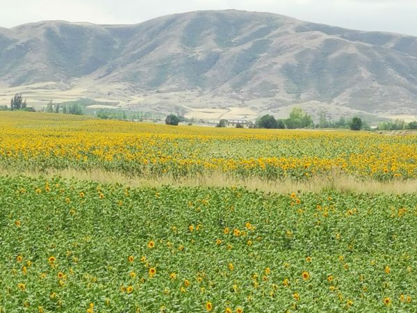 20240520/664b5821ba1a2.jpg 微信图片_20240520215102.jpg