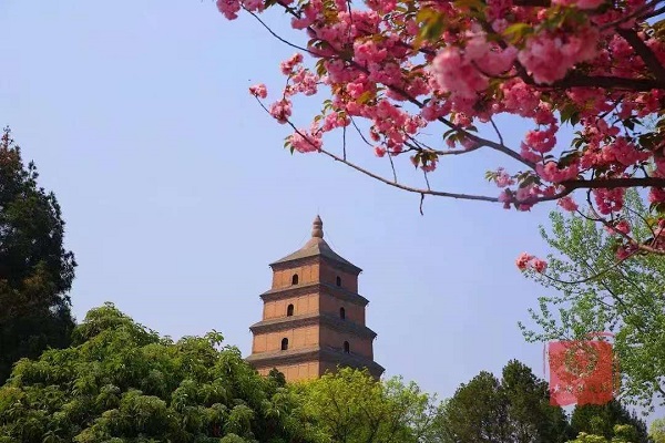五律·春分（陶冶）